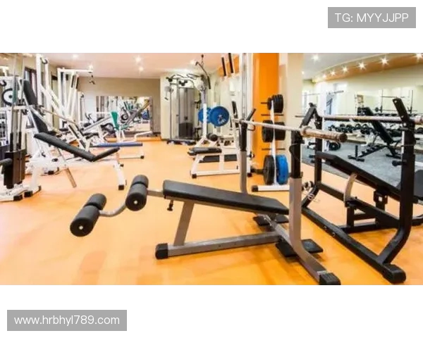 高强度训练必备CF健身器材选购与使用指南